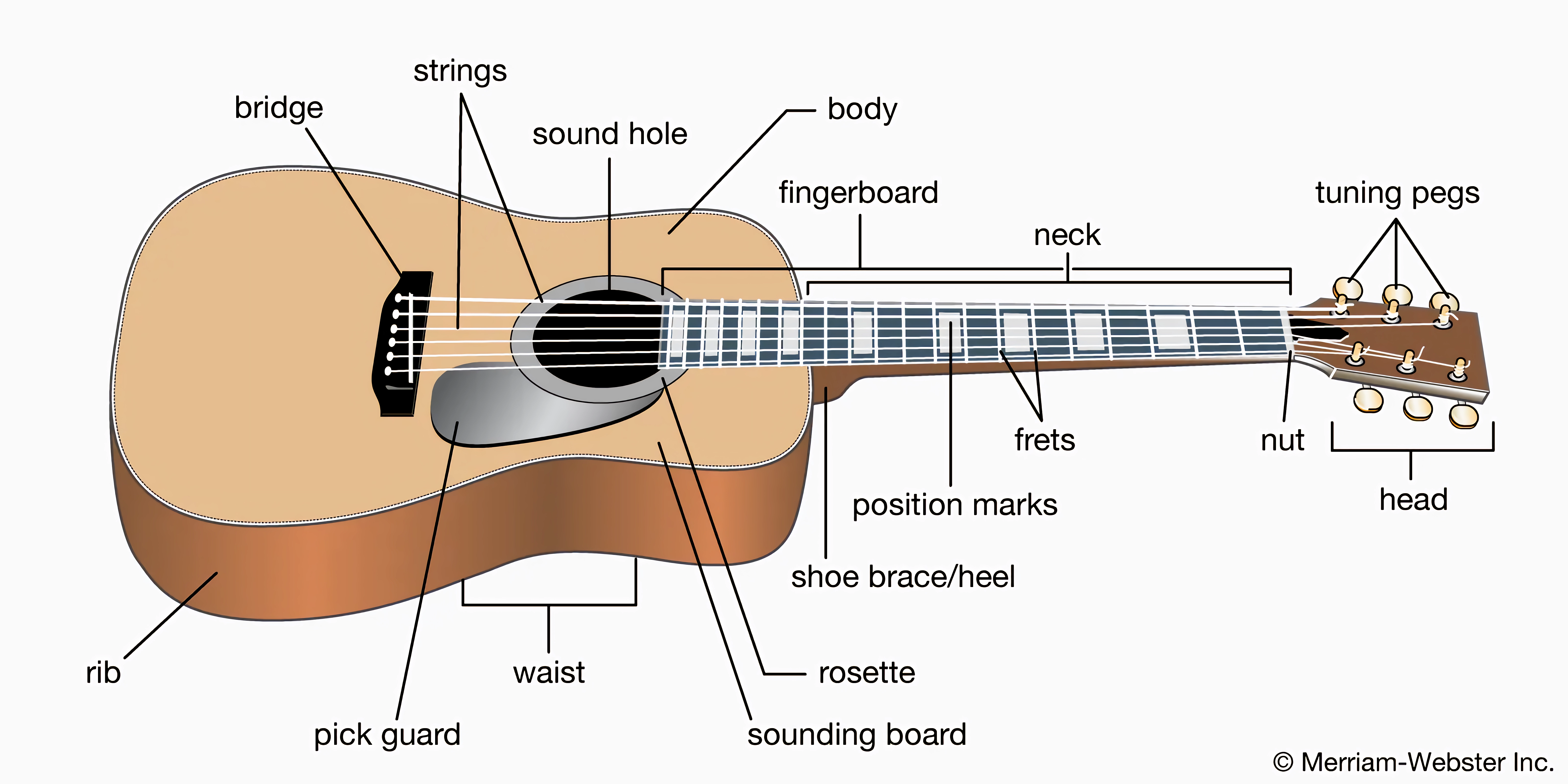 Acoustic guitar diagram