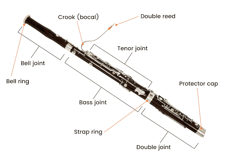 Bassoon diagram