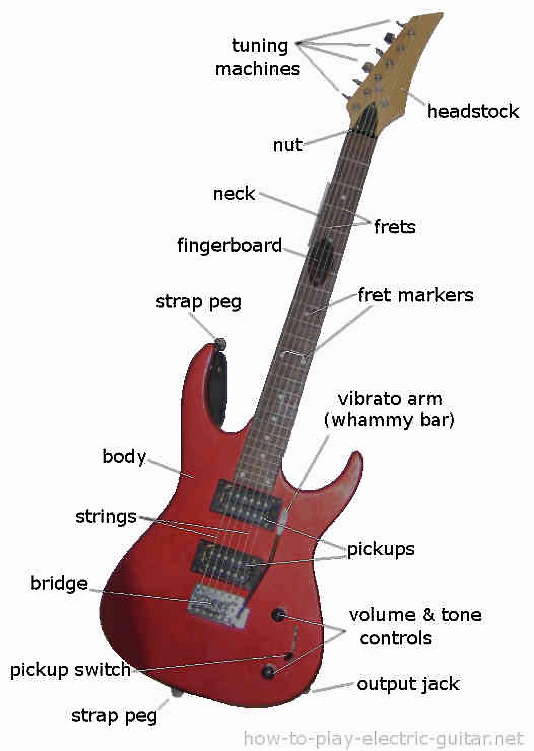 Electric guitar diagram