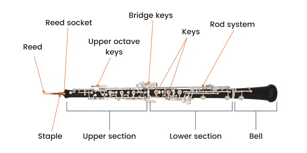 Oboe diagram