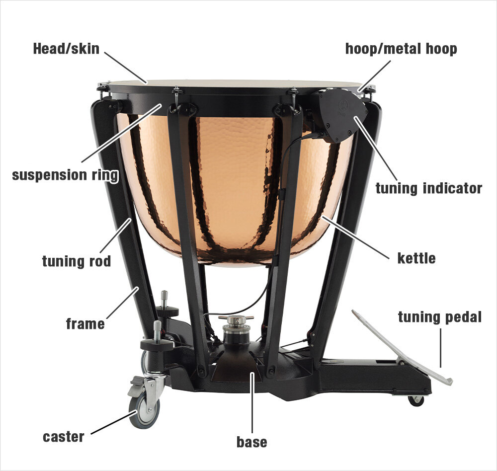 Timpani diagram